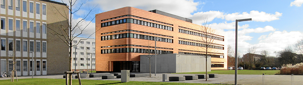 IEF Institute