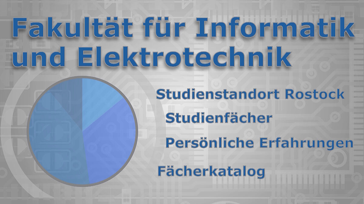 Studium an der IEF